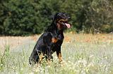 BEAUCERON 771